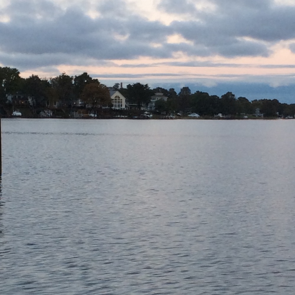 Meet your Posher, Barb